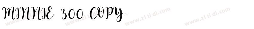 MINNIE 300 COPY字体转换